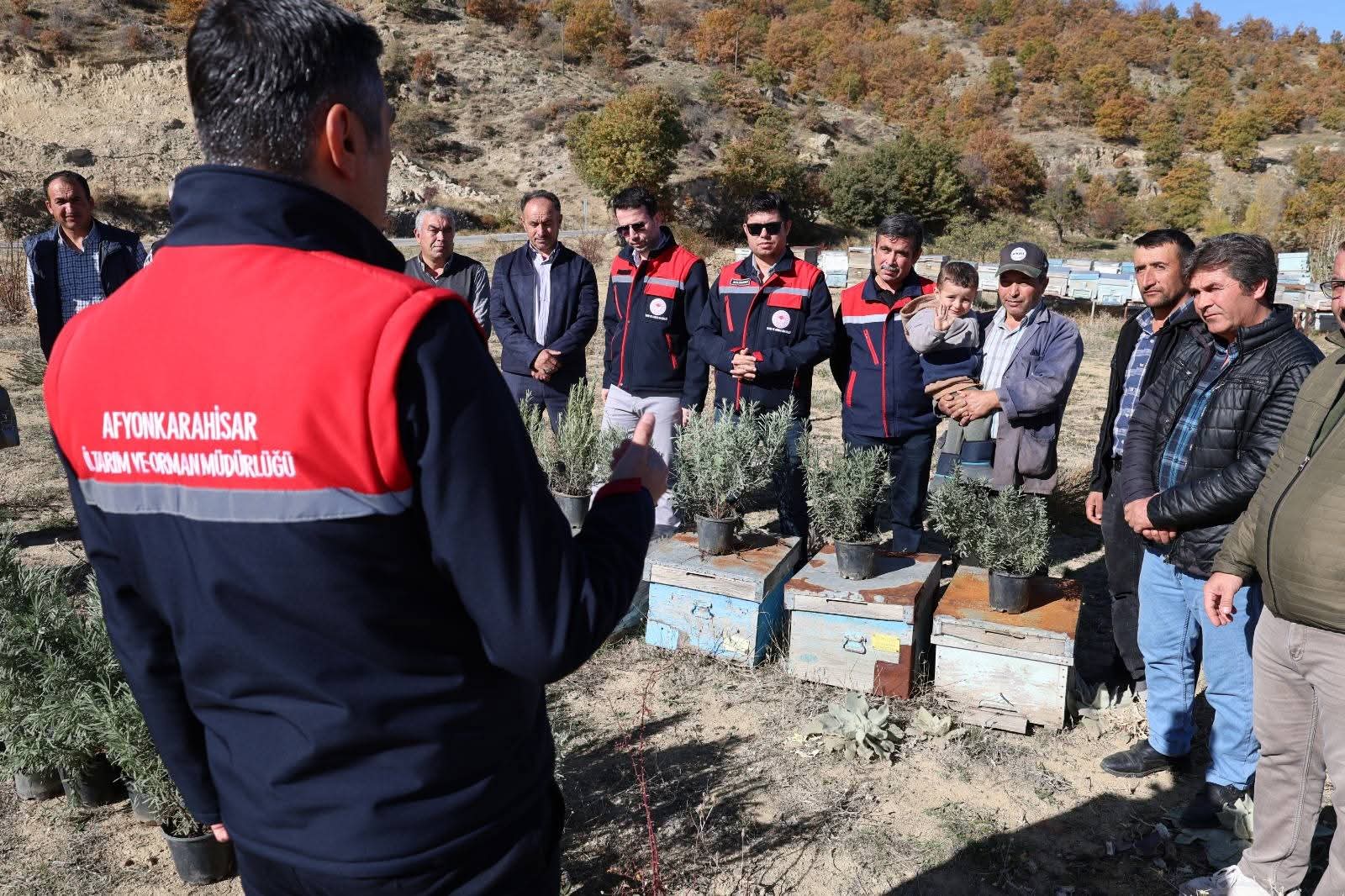 Alternatif Ürünler Projesi Kapsamında Üreticilere Lavanta Fidesi Dağıtıldı