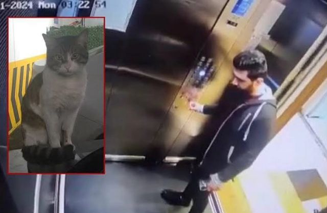 İstanbul'da Eros adlı köpeğin ölümüne sebep olan şahsa verilen hapis cezası tartışmalara neden oldu