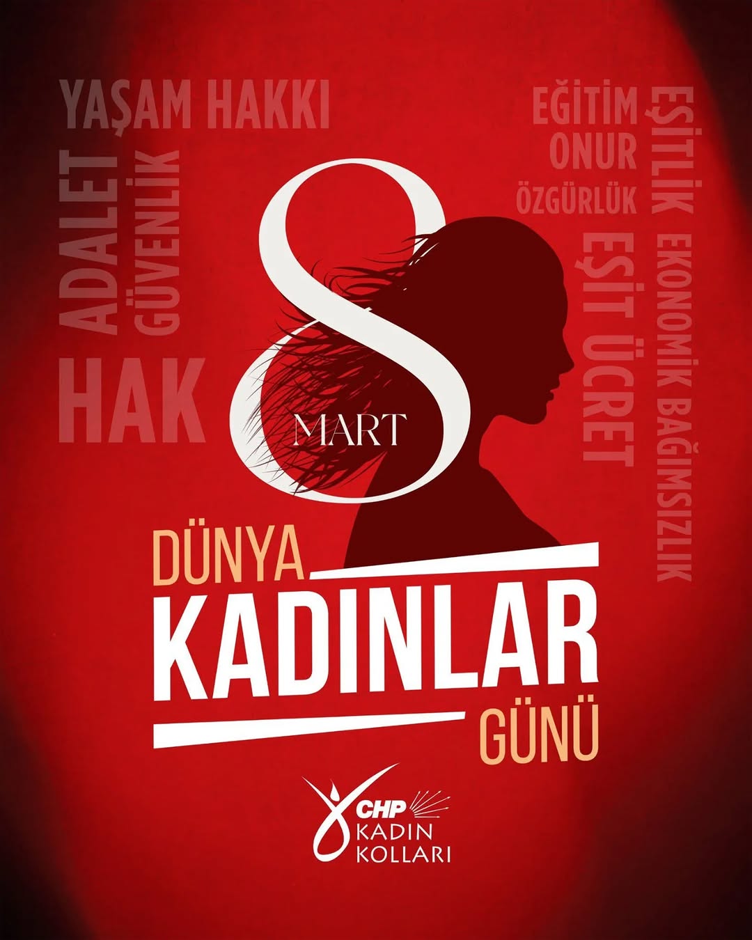 Afyonkarahisar CHP İl Kadın Kolları: Bir Gün Değil Her Gün Direnişin Adı 8 Mart!