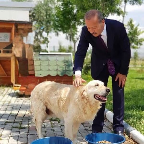 Afyonkarahisar / Dişli Beldesinde Masum Bir Köpeğe Yapılan Vahşet Olayı