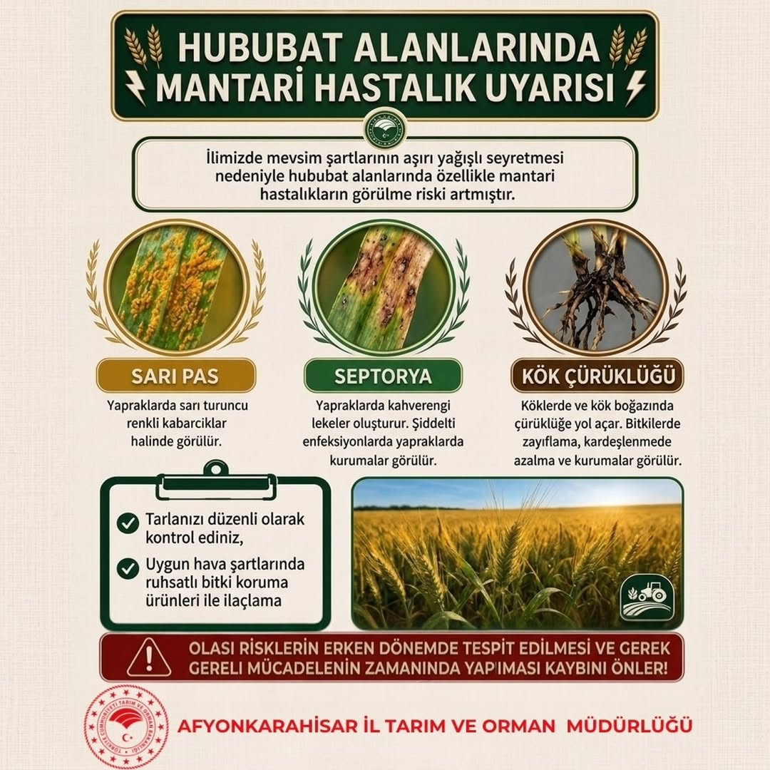 Afyonkarahisar İl Tarım ve Orman Müdürlüğü'nden Hububat Alanlarında Mantar Hastalık Uyarısı