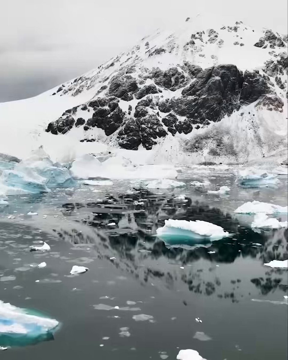 Antarktika Bilim Seferi Tamamlandı