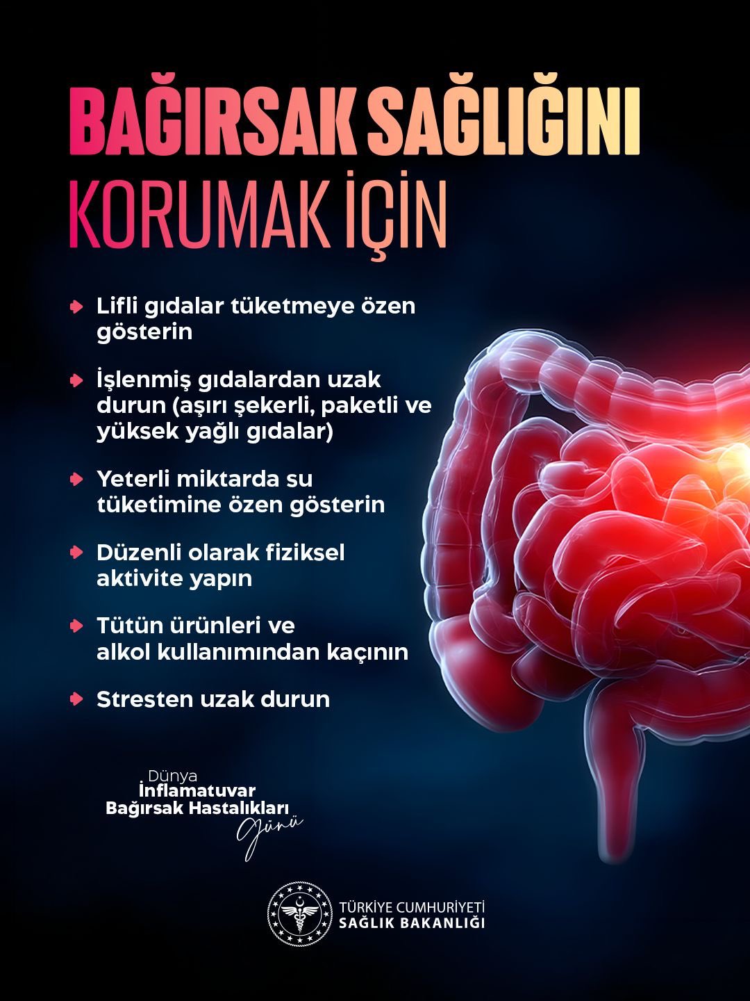 Bağırsak sağlığını korumanın önemi vurgulandı
