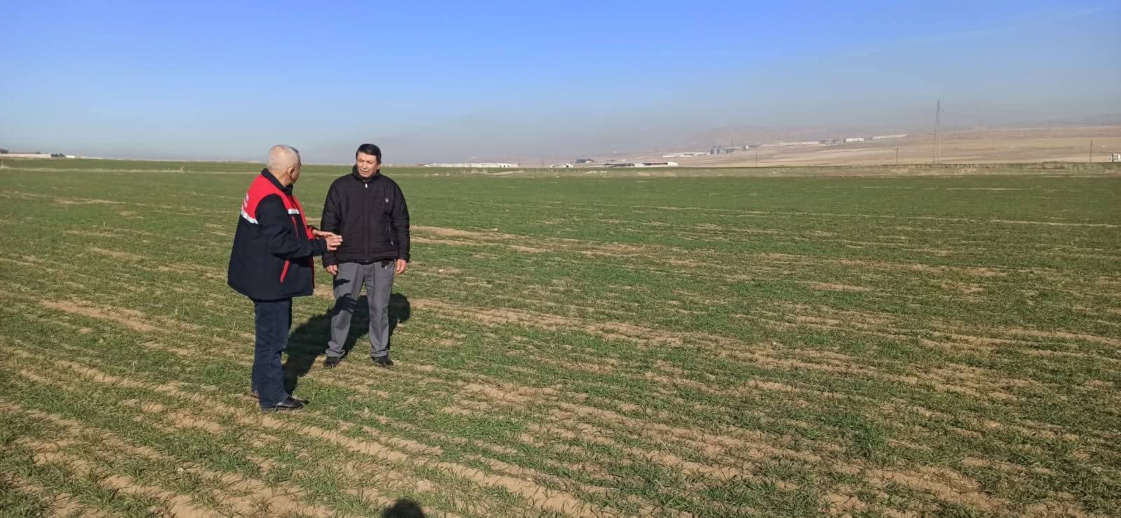 Bereketli Bir Hasat İçin Hububat Tarlalarında Kontroller Sürüyor