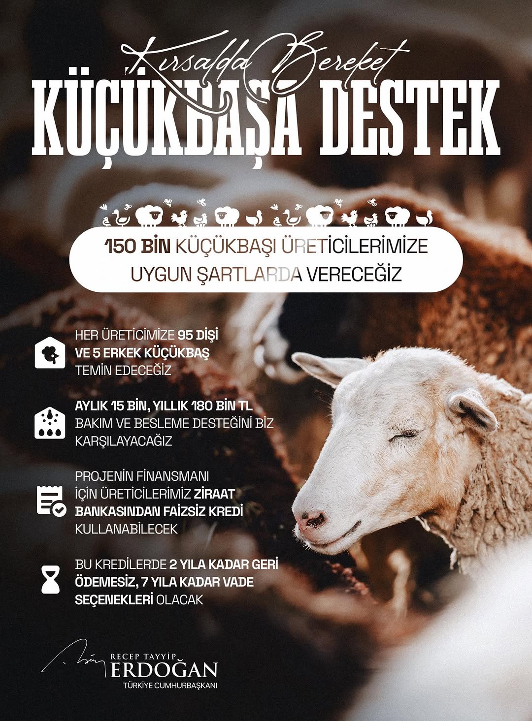 Cumhurbaşkanı Erdoğan'dan Kırsal Kalkınma Projesi Müjdesi