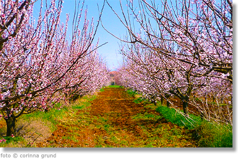 Değerler ve Gerçeklik İlişkisi