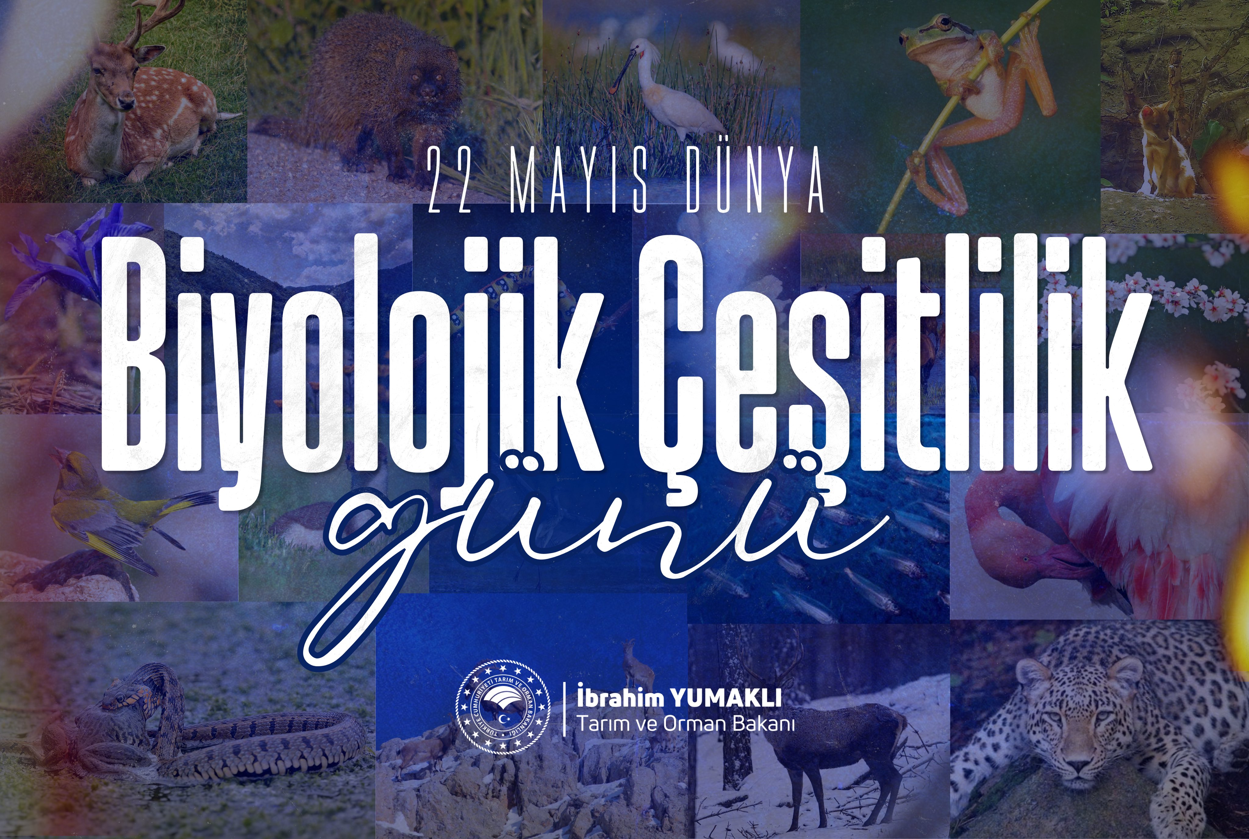 Dünya Biyolojik Çeşitlilik Günü'nde Anadolu'nun Zenginliği