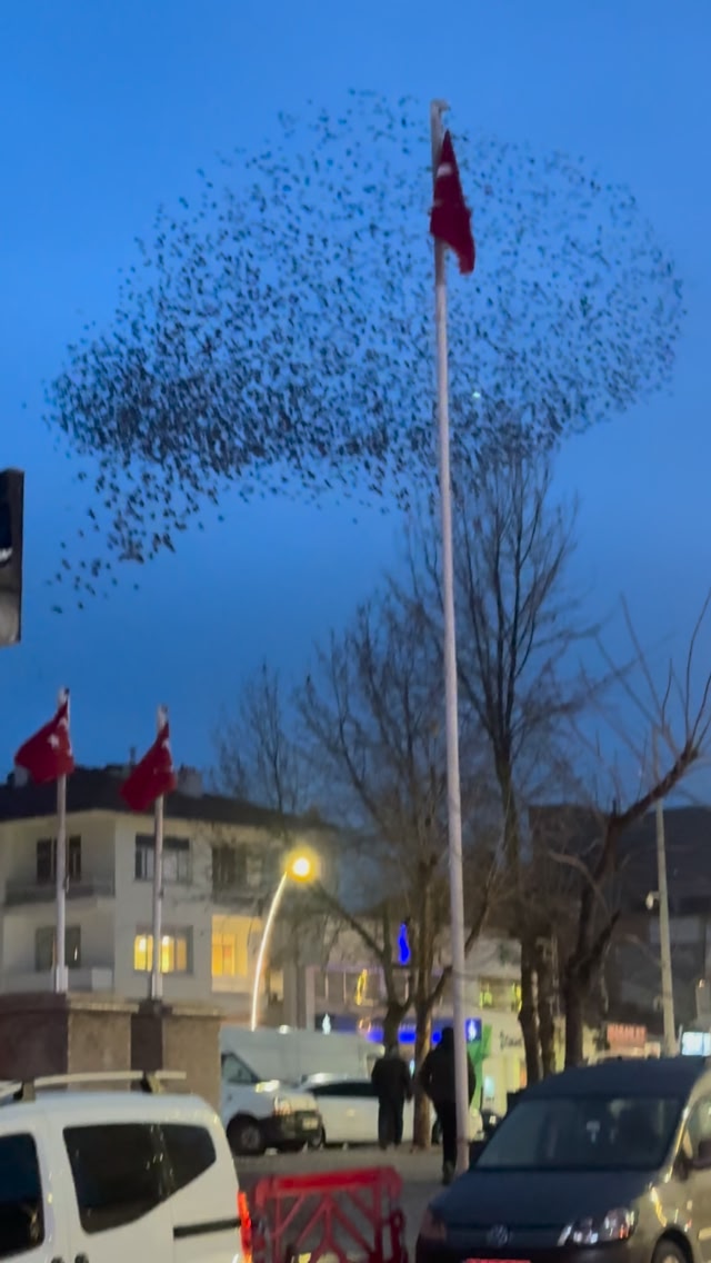 Emirdağ'da Bayramlaşma Etkinliği Ay Yıldızlı Bayrağımızla Kutlandı