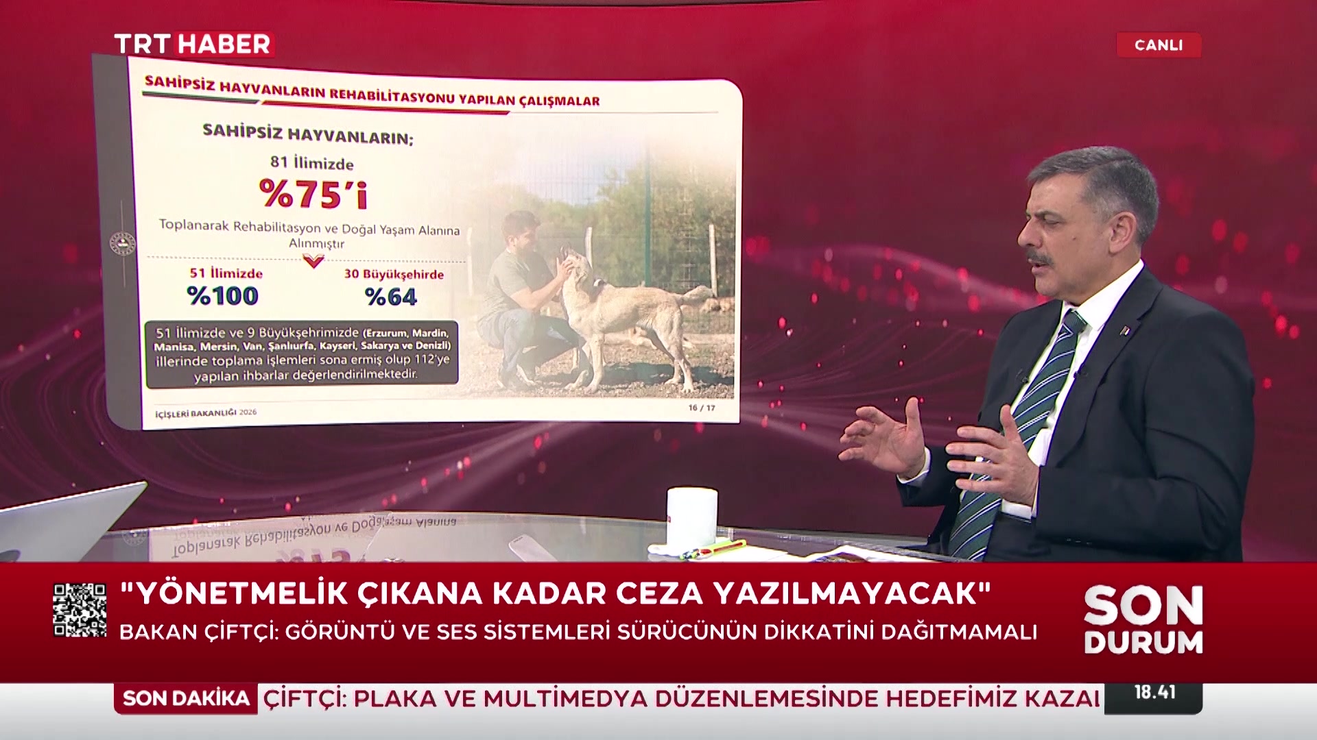 İçişleri Bakanlığı: 51 İlde Sahipsiz Sokak Hayvanlarının Yüzde 75'i Toplandı