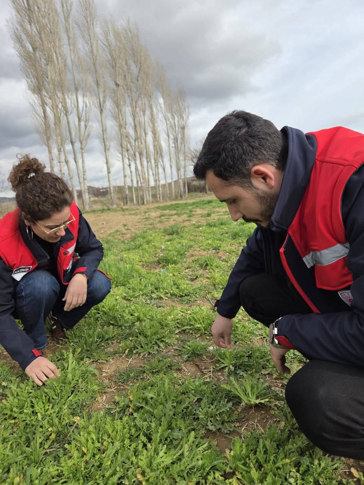 İL GENELİNDE BİTKİSEL ÜRÜNLERDE FENOLOJİK GÖZLEM VE HASTALIK–ZARARLI KONTROLLERİ DEVAM EDİYOR