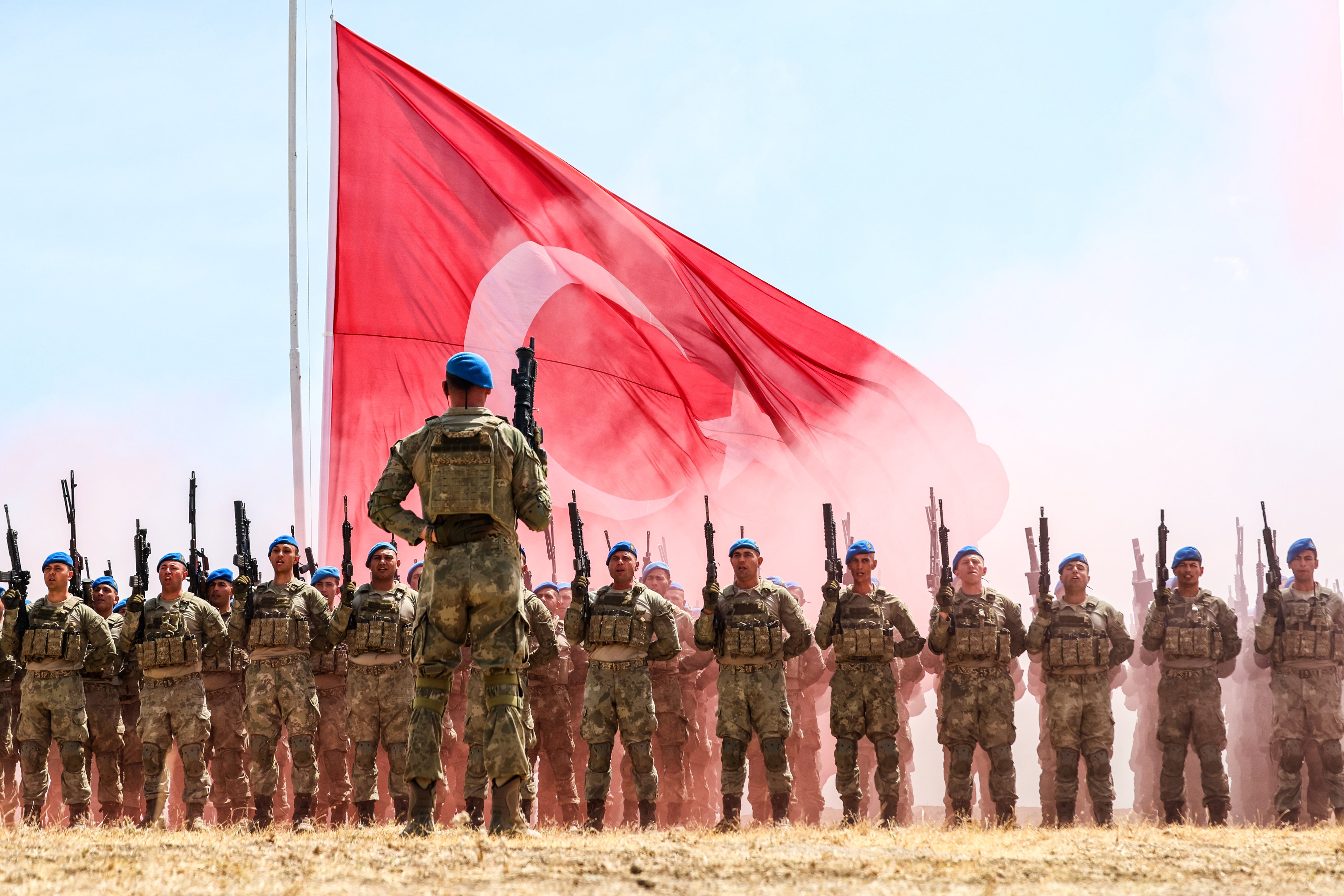 Türk Silahlı Kuvvetleri'nin Rolü