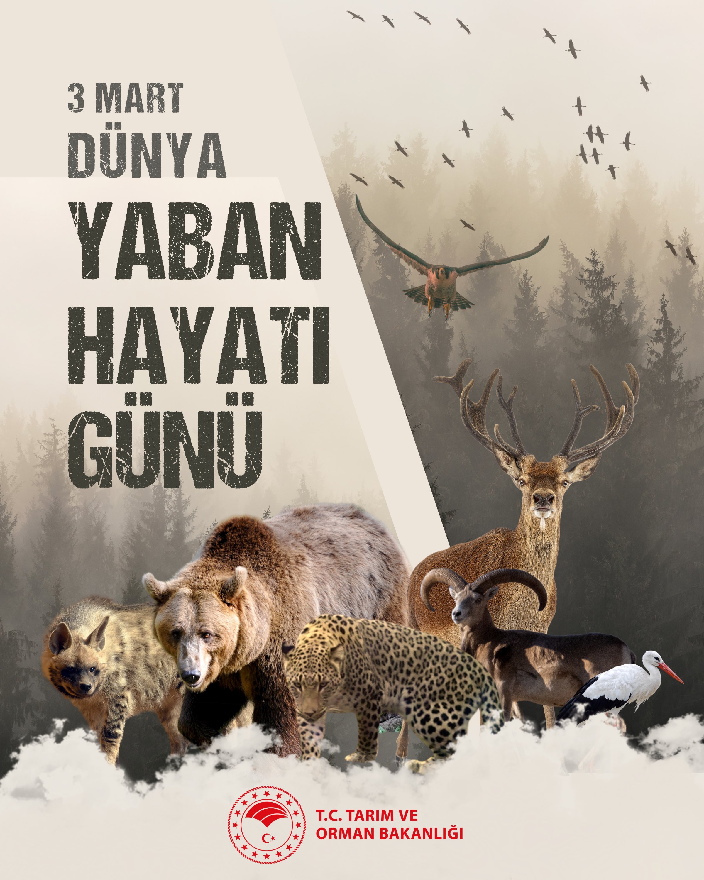 Yaban Hayatı Koruma Çalışmaları
