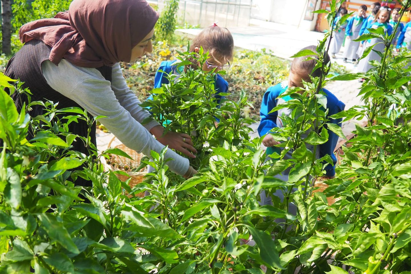 Türkiye'nin İlk Agro Kütüphanesi Yeşil Kütüphane Ödülü İçin Adaylar Arasında!