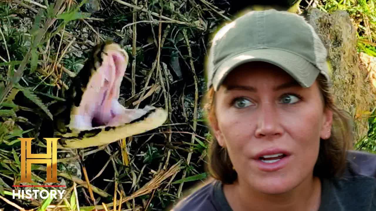 Swamp People: Yılan İstilası Programında Ağır Tehlike