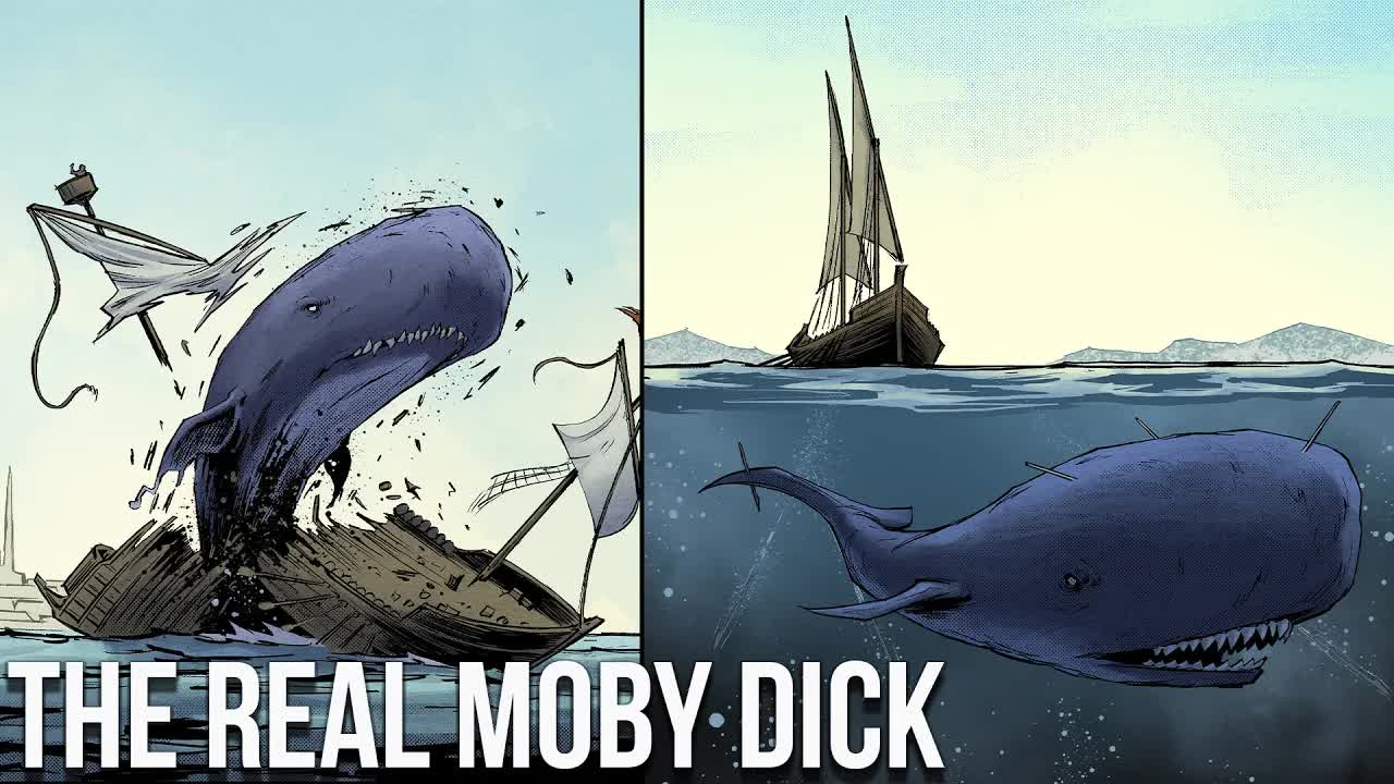 The Brutal Greek Moby Dick - The Story of the Whale Porphyrios of Constantinople