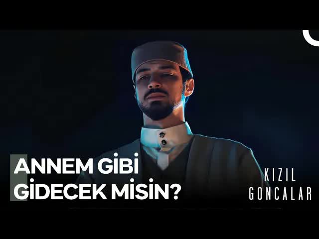 Kızıl Goncalar Dizisi