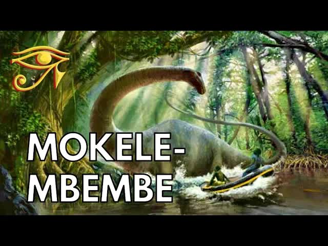 Afrika'da Dinozor Efsanesi: Mokele-Mbembe