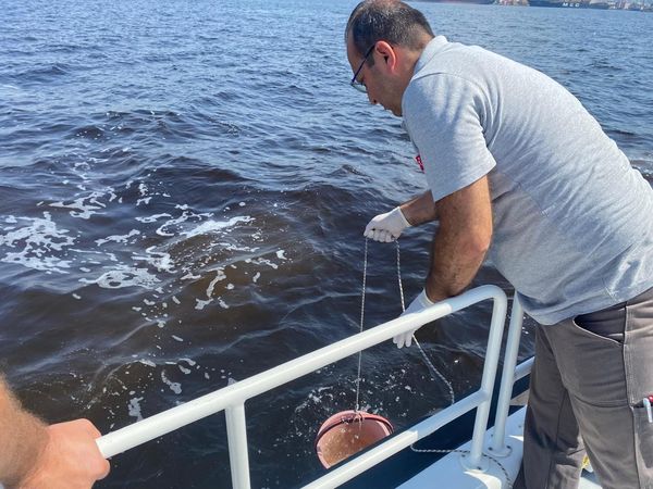 T.C. Çevre, Şehircilik ve İklim Değişikliği Bakanlığı İzmir Körfezi'nde Balık Ölümleri İncelemesi Başlattı