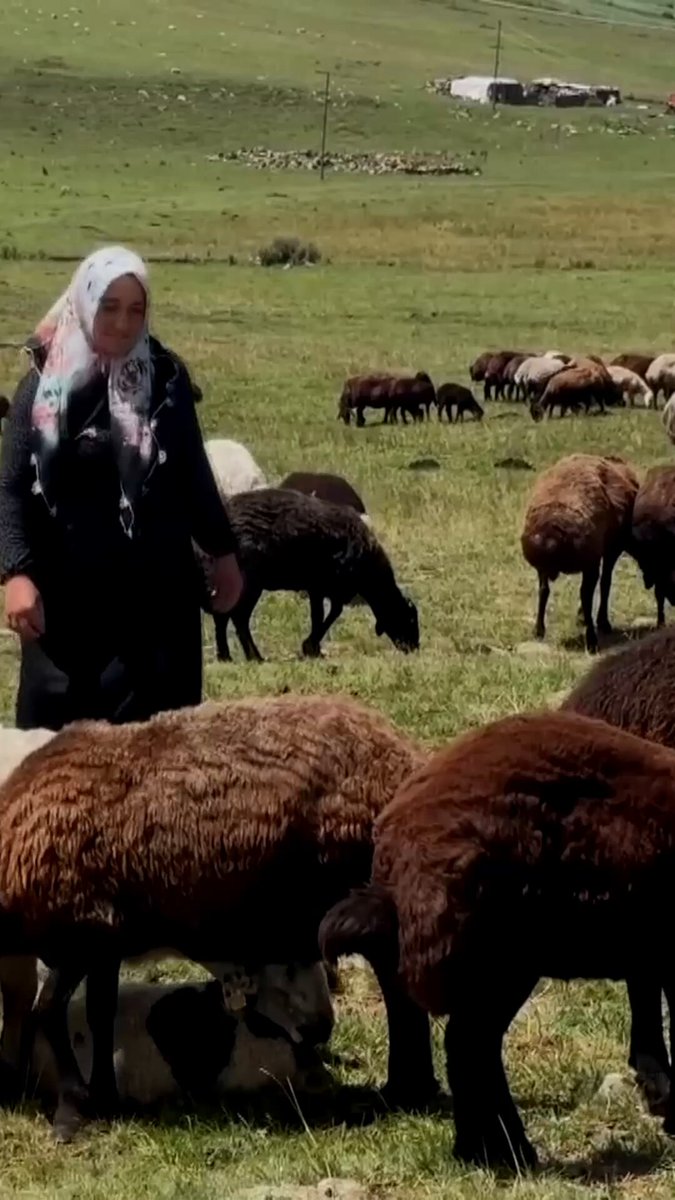 Türkiye'de Kadınlar Tarım ve Hayvancılık Sektöründe Önemli Bir Rol Üstleniyor