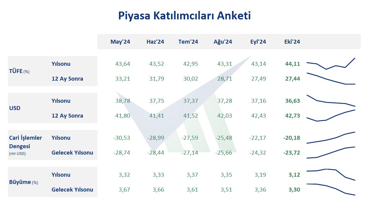 Enflasyon Beklentileri Yükseldi, Döviz Kurları İyimserlik Yarattı