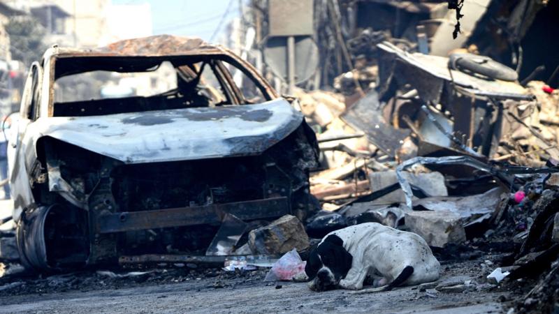 İsrail'in Lübnan'a Yönelik Hava Saldırıları Sonrası Ölümler Arttı