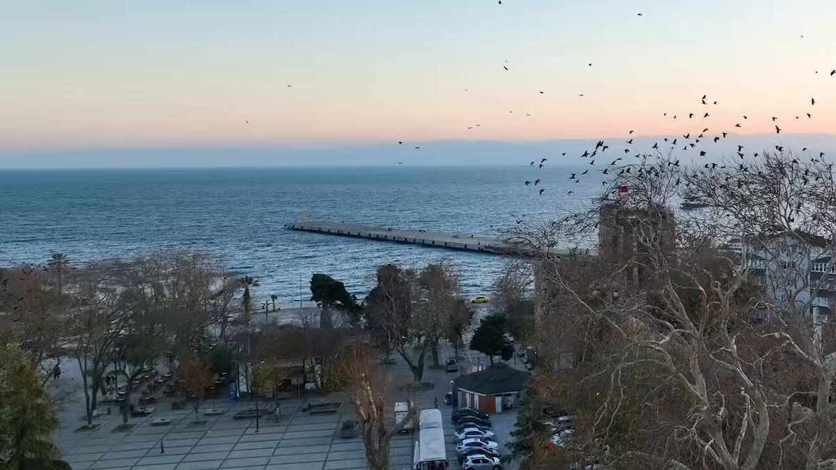 Sinop’ta Yeni Yeşil Alanlar Kazandırılıyor