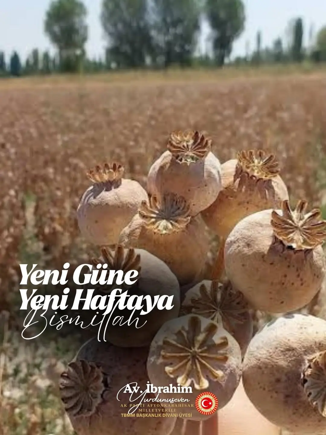 Ak Parti Milletvekili Yurdunuseven'den Yeni Hafta Dileği