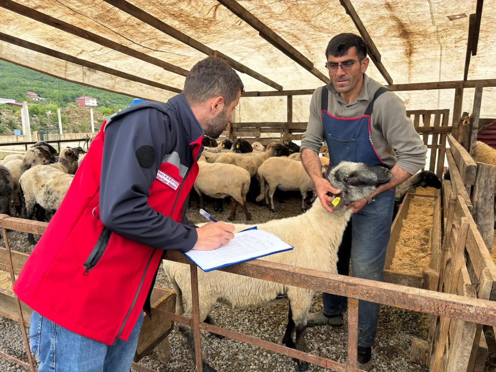 Kurban Bayramı için 81 ilde gıda denetimi