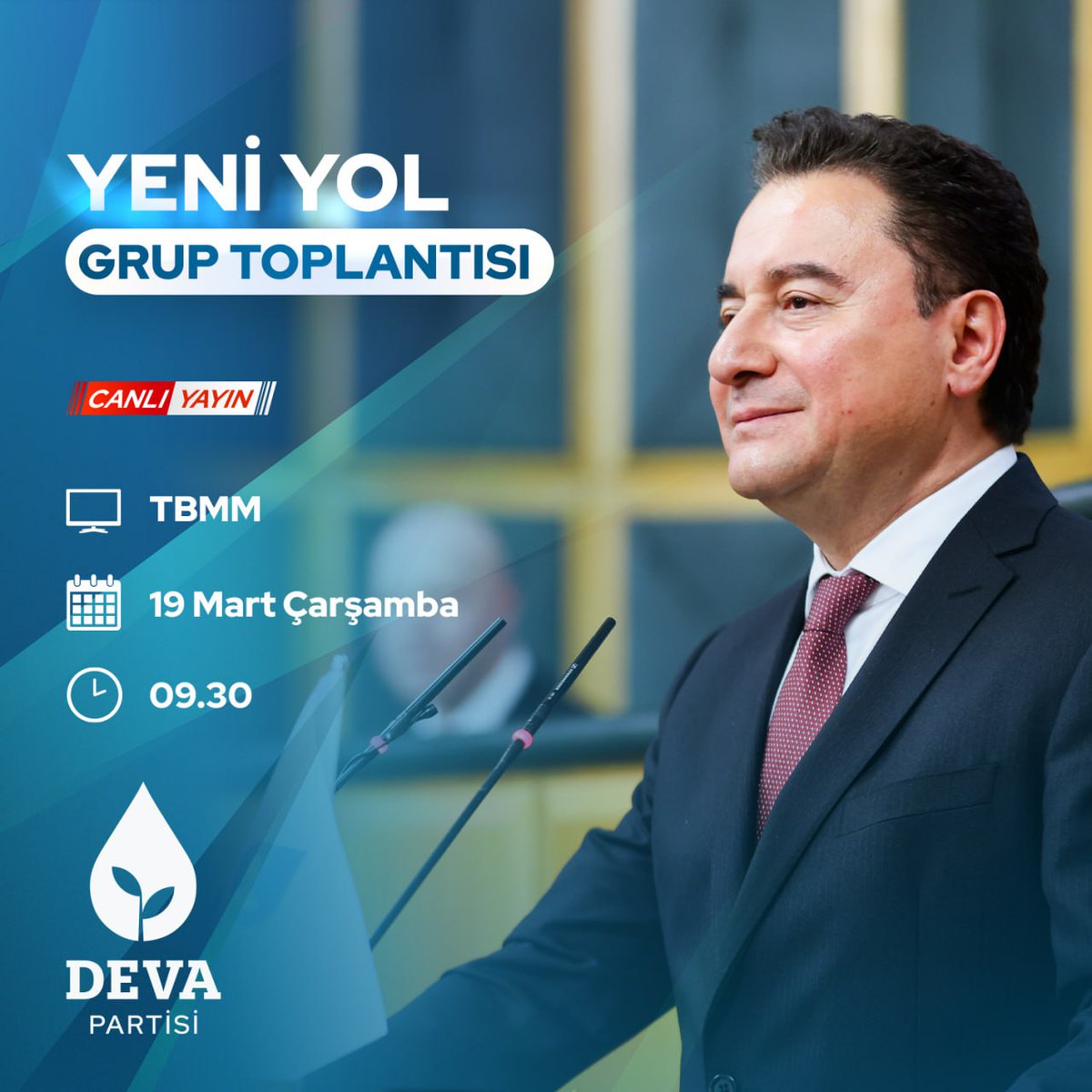 Deva Partisi, TBMM'de 