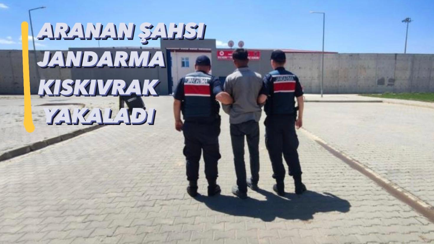 ARANAN ŞAHSI JANDARMA KISKIVRAK YAKALADI